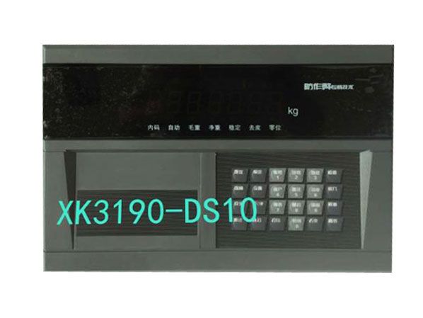 XK3190DS10數字物聯網儀表